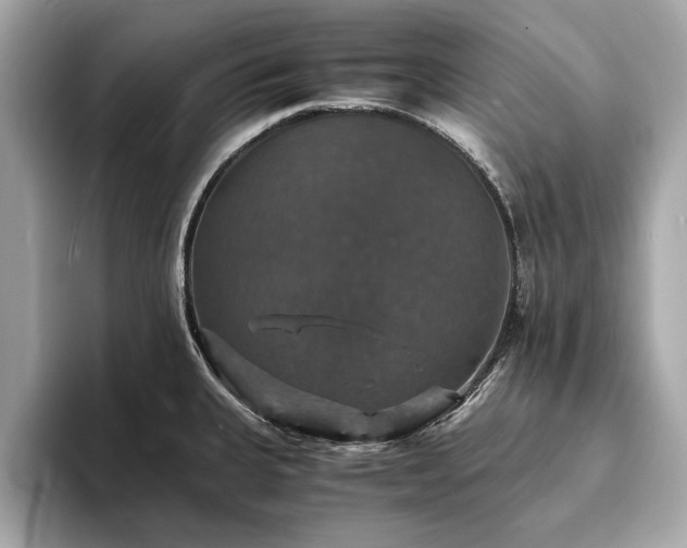 X0000094061335200710261217