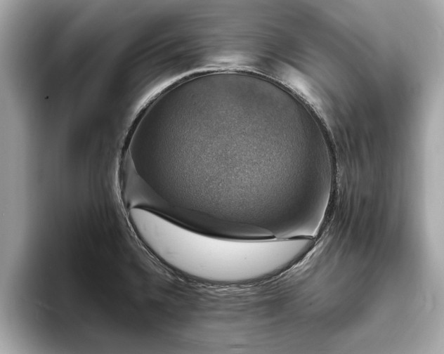 X0000094061336200710261217