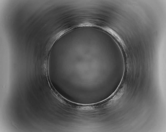 X0000094061337200710261217