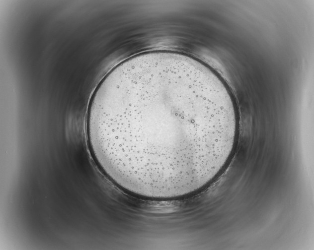 X0000094061338200710261217
