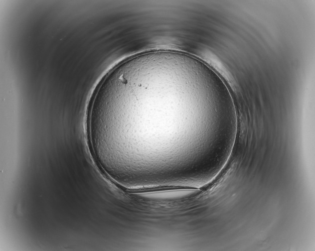 X0000094061339200710261217