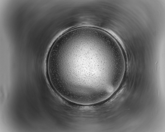 X0000094061341200710261217