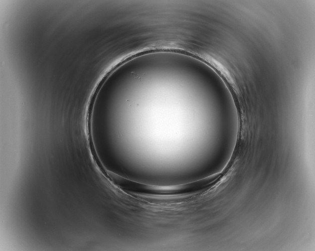 X0000094061342200710261217