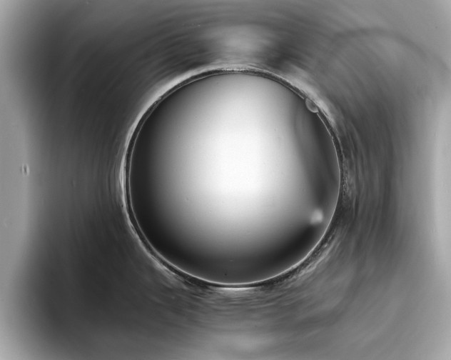 X0000094061343200710261218