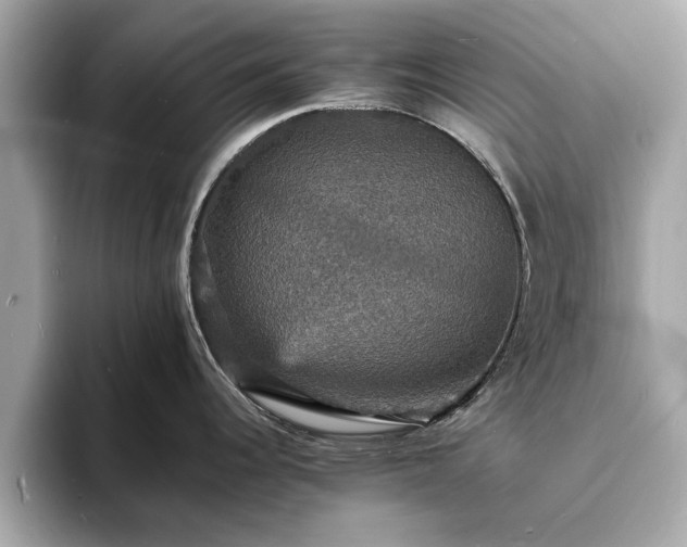 X0000094061344200710261218