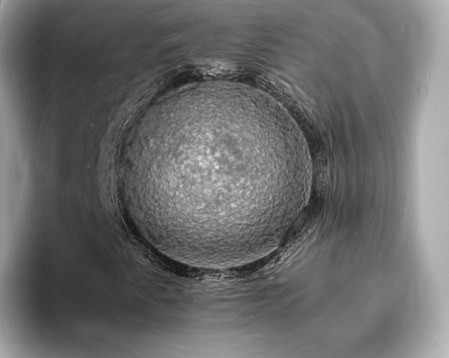 X0000094061345200710261217
