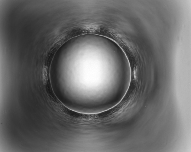X0000094061347200710261217