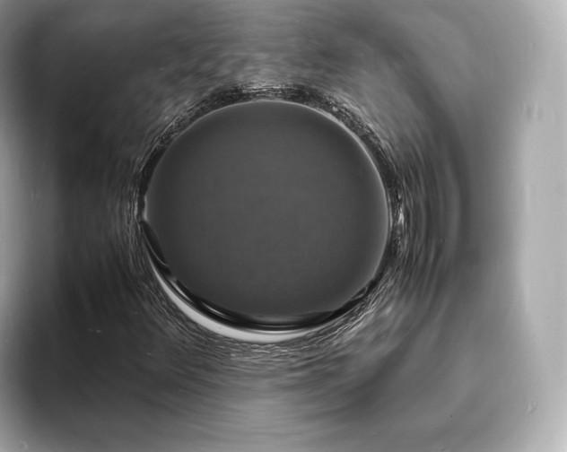 X0000094061348200710261217