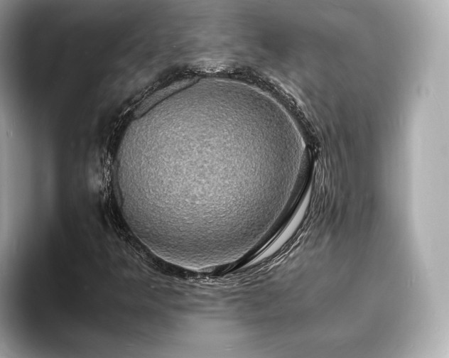 X0000094061349200710261217