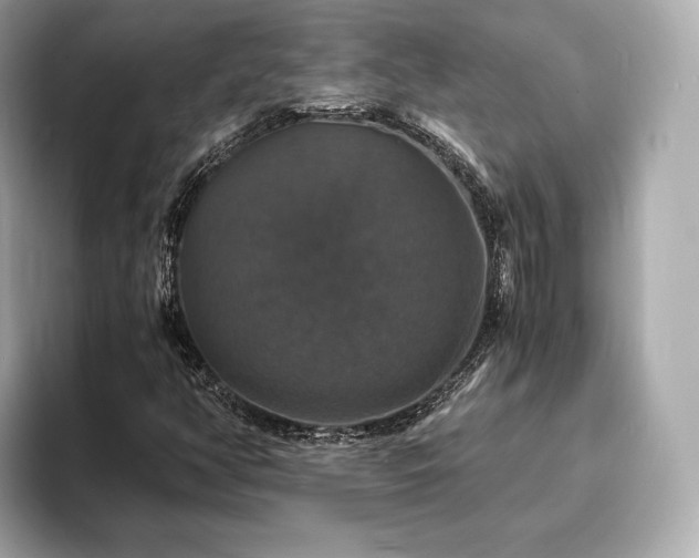X0000094061350200710261217