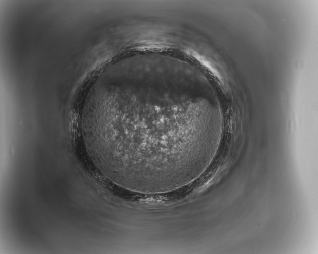 X0000094061351200710261217