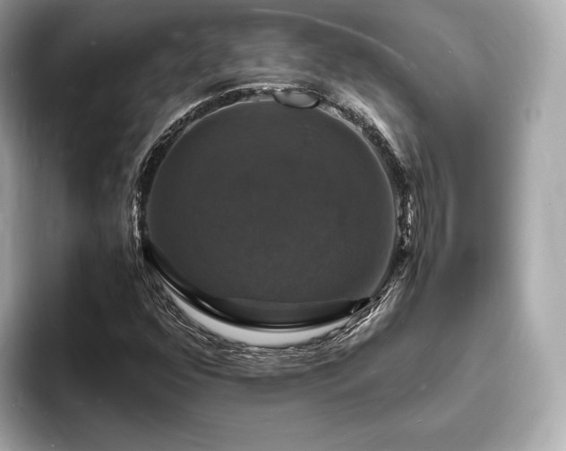 X0000094061352200710261217
