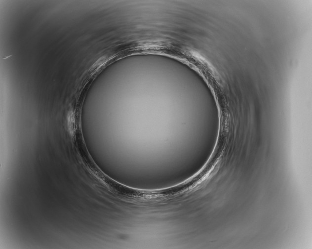 X0000094061353200710261217