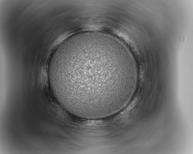 X0000094061354200710261217