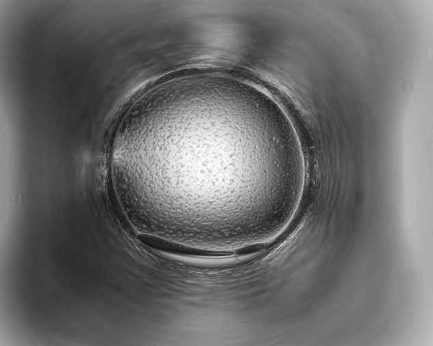 X0000094061355200710261217