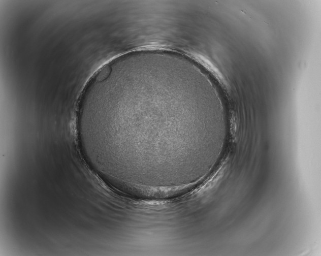 X0000094061356200710261217