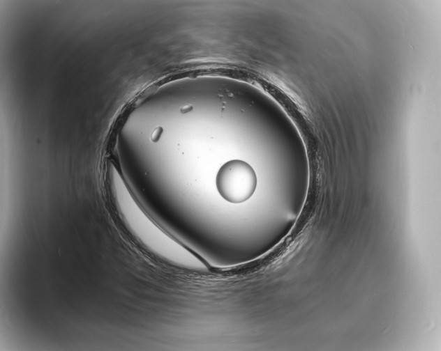 X0000094061357200710261217