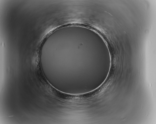 X0000094061359200710261217