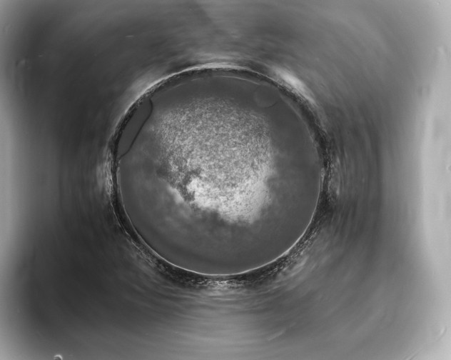 X0000094061360200710261217
