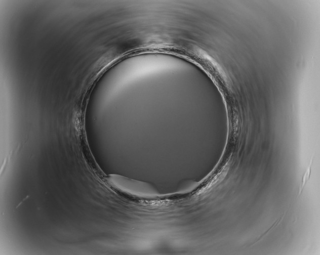 X0000094061361200710261217