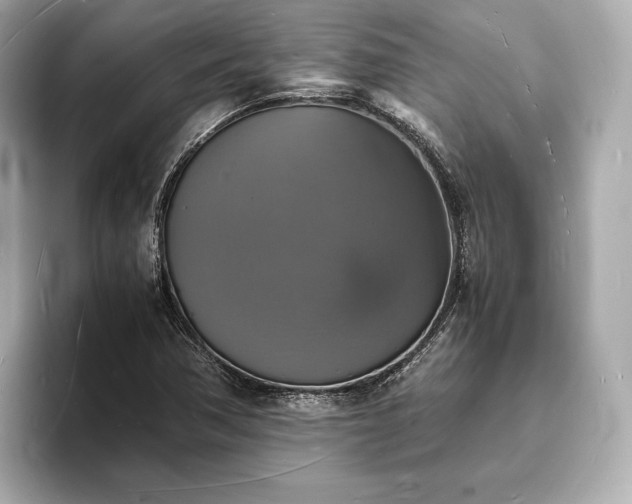 X0000094061362200710261217