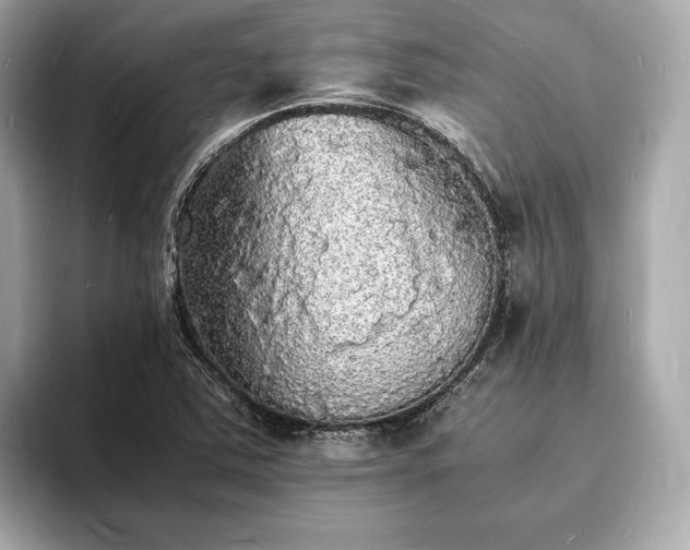 X0000094061363200710261217