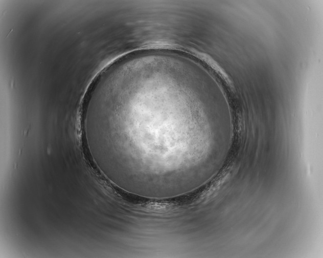 X0000094061364200710261217