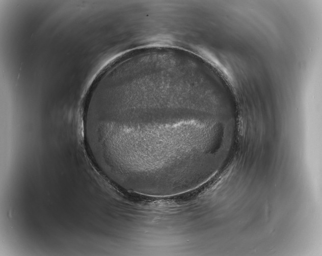 X0000094061368200710261217