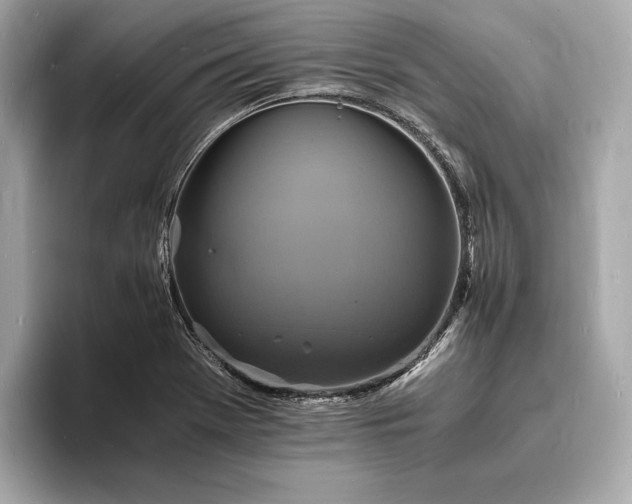 X0000094061369200710261217