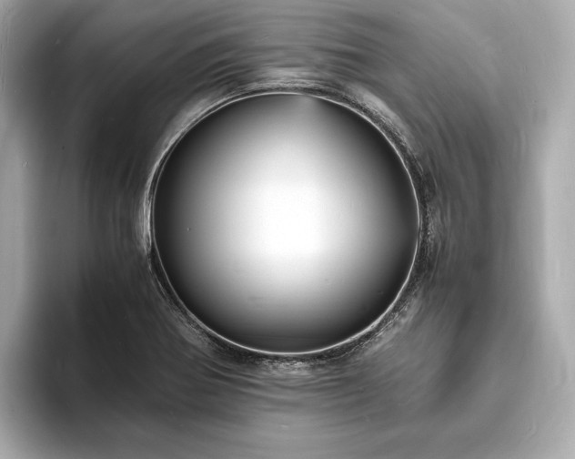 X0000094061370200710261217