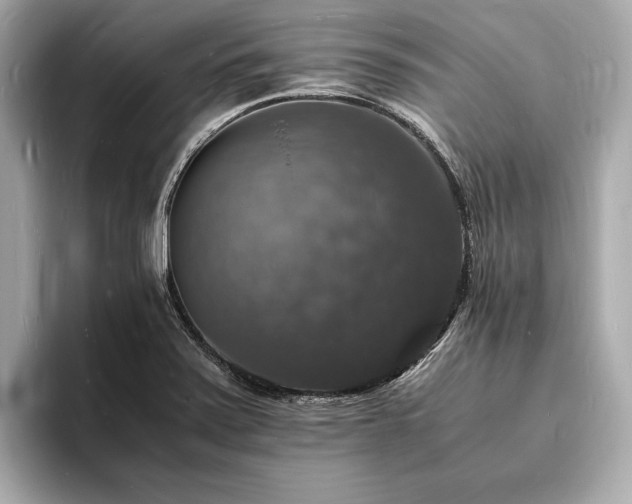 X0000094061371200710261217