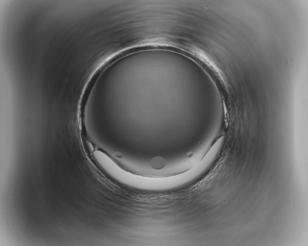 X0000094061372200710261217