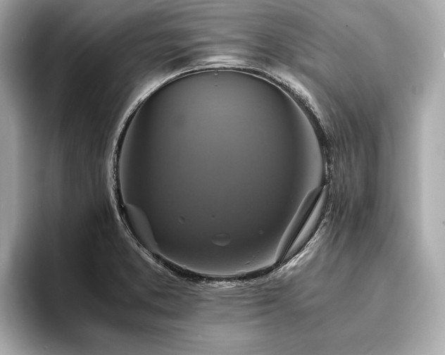 X0000094061373200710261217