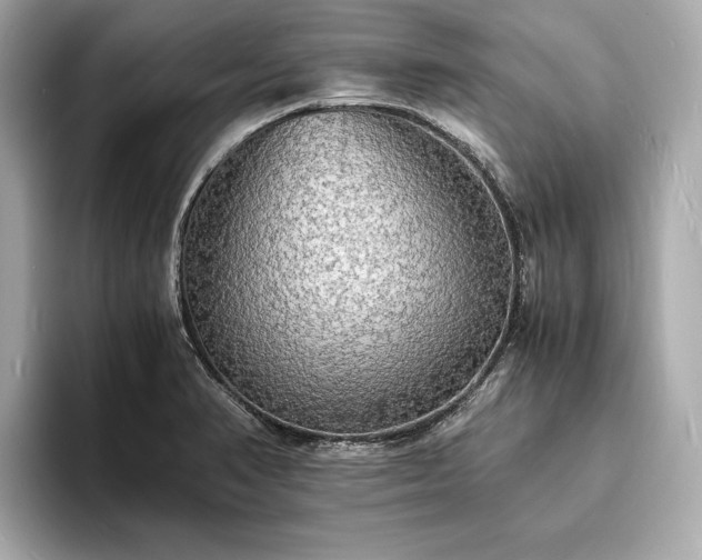 X0000094061374200710261217