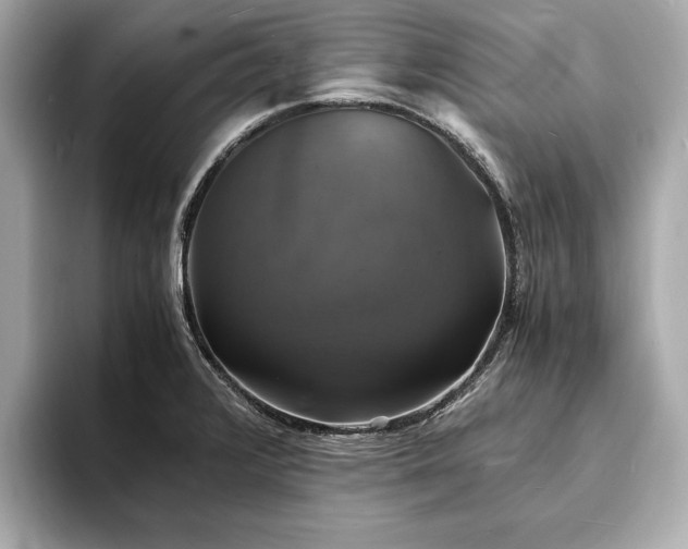X0000094061376200710261216