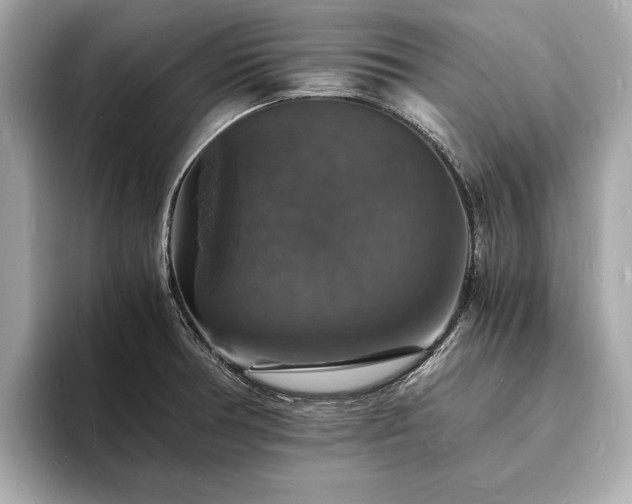 X0000094061378200710261216