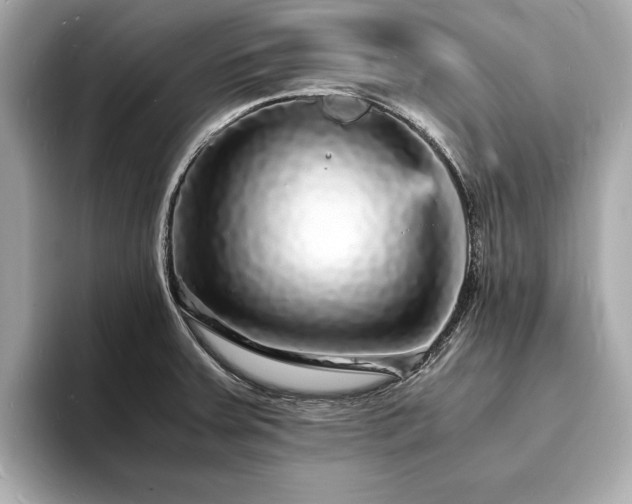 X0000094061379200710261216