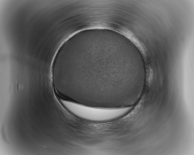 X0000094061380200710261216