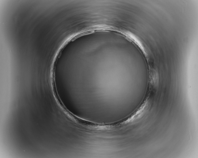 X0000094061381200710261216