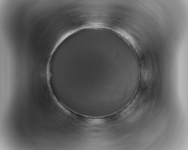X0000094061382200710261216
