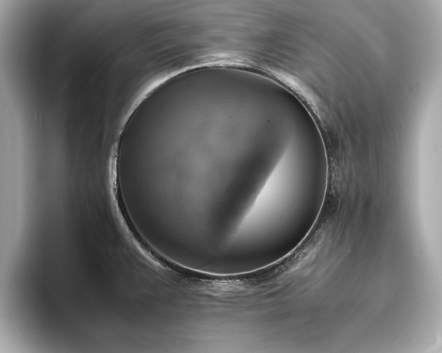 X0000094061383200710261216