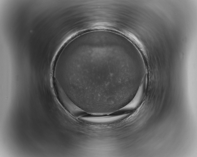 X0000094061384200710261216