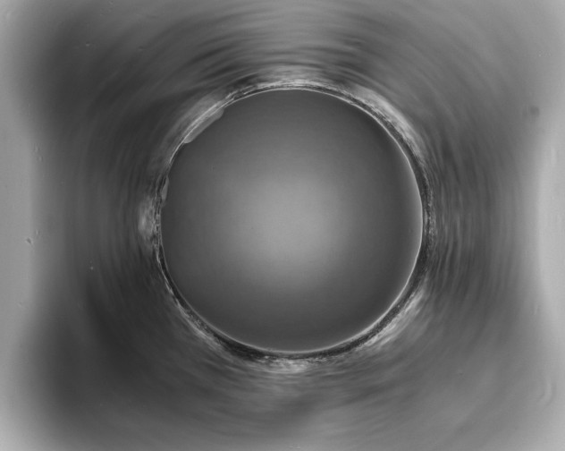 X0000094061385200710261216