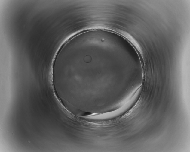 X0000094061388200710261216