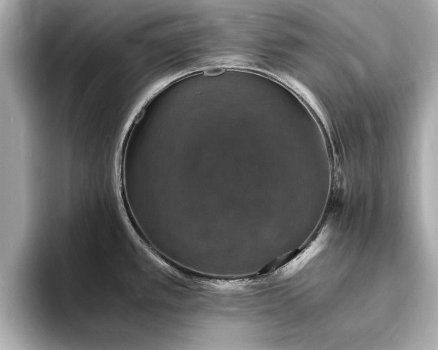 X0000094061389200710261216