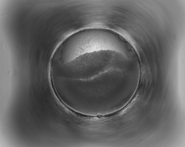 X0000094061390200710261216