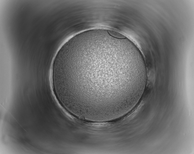 X0000094061391200710261216