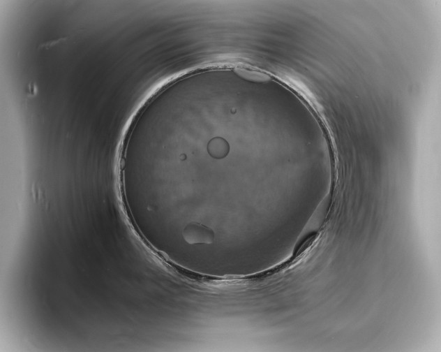 X0000094061392200710261216