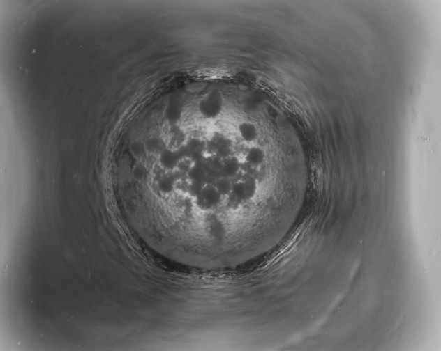 X0000094061393200710261216