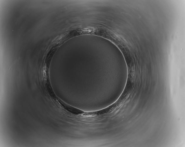 X0000094061394200710261216